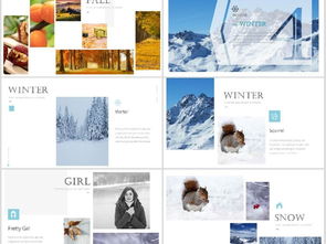 動(dòng)感時(shí)尚圖文排版 從精美畫冊(cè)到商務(wù)PPT的視覺(jué)藝術(shù)